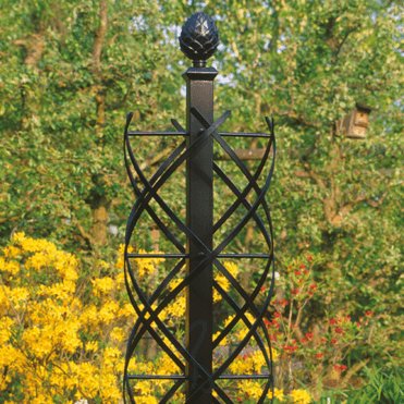Charleston Rose Obelisk