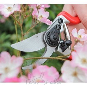 Darlac Dp1030A Expert Bypass Pruner