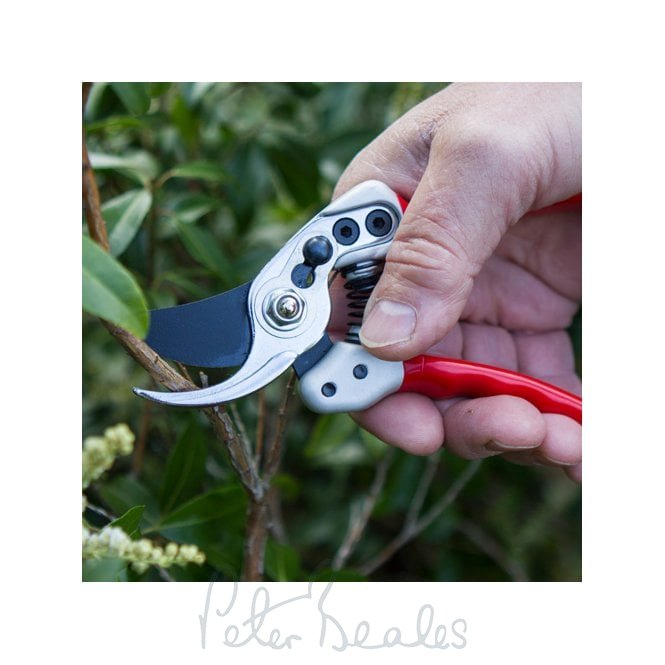 Darlac  Expert Small Bypass Pruner Dp1033