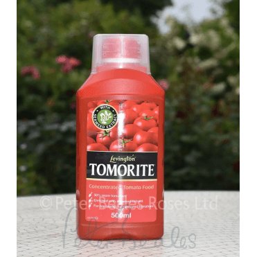 Levington Tomorite 500Ml