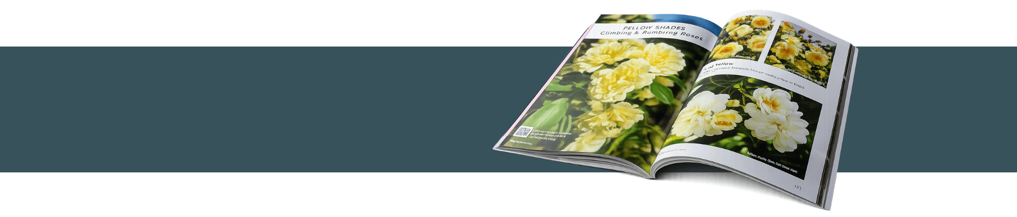 Get Our Brand New 2026 / 2027 Catalogue