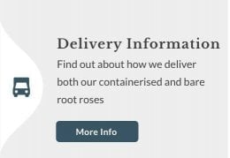 Delivery Information