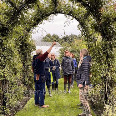 Planting And Pruning Workshop