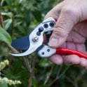 Darlac Expert Small Bypass Pruner Dp1033