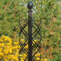 Charleston Rose Obelisk Garden