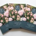 Peter Beales Rose Catalogue