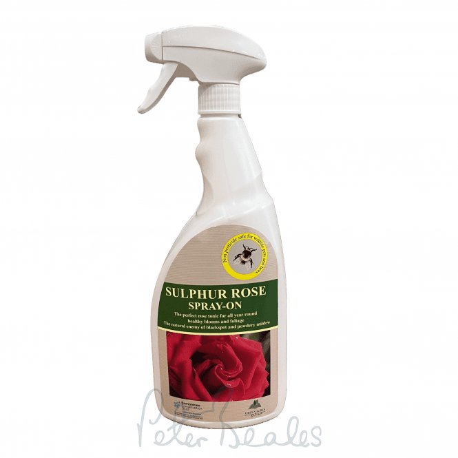Sulphur Rose Spray-on RTU