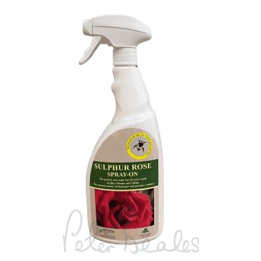 Sulphur Rose Spray-on RTU