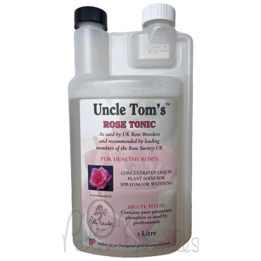 Uncle Toms Rose Tonic