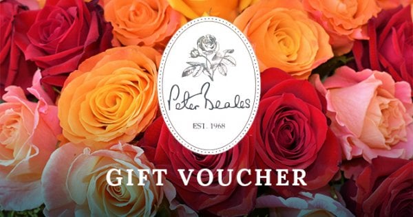 Voucher 4